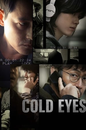 Cold Eyes (Gam-si-ja-deul) โคลด์ อายส์ (2013) บรรยายไทย