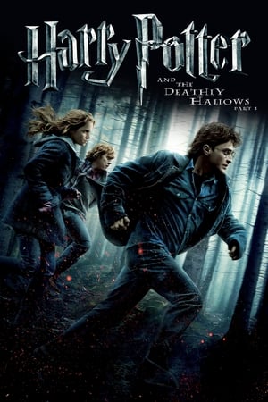 Harry Potter 7.1 and the Deathly Hallows Part 1 แฮร์รี่ พอตเตอร์ กับ เครื่องรางยมฑูต (2010)